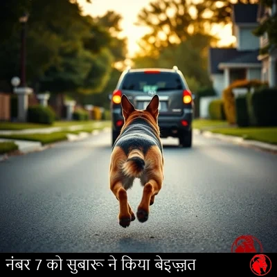 पीछे से लिया गया जर्मन शेफर्ड, हवा में छलाँग के बीच, एक रिहायशी सड़क पर दूर जाती एक स्टेशन वैगन कार के पिछले बंपर के क़रीब पहुँचता हुआ, मीम कैप्शन: नंबर 7 सुबारू से अपमानित