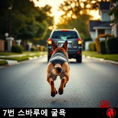 뒤에서 본 저먼 셰퍼드가 도약 중에, 주택가 거리를 따라 멀어지는 왜건 차량의 뒷범퍼로 다가서고 있다, 밈 캡션: 7번, 스바루에게 굴욕을 당하다