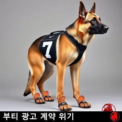 규정 팀 하네스와 리그 공인 나이키 발싸개를 착용한 저먼 셰퍼드, 밈 캡션: 부티 후원 계약이 위태롭다