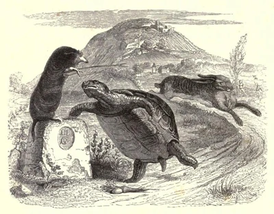 J. J. Grandville's 1855 engraving of the hare and the tortoise: the hare runs ahead on the road while the tortoise pauses to read a milestone