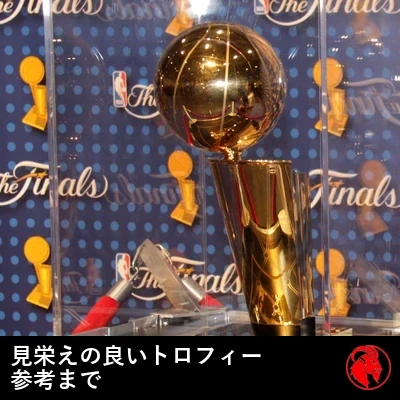 見栄えの良いトロフィー 参考まで