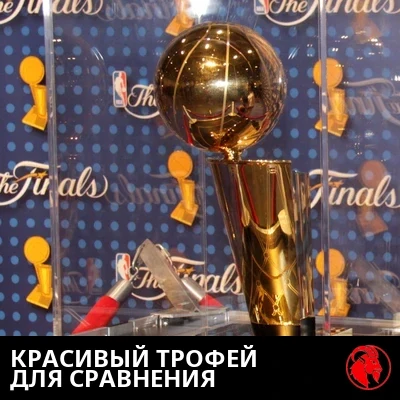КРАСИВЫЙ ТРОФЕЙ ДЛЯ СРАВНЕНИЯ
