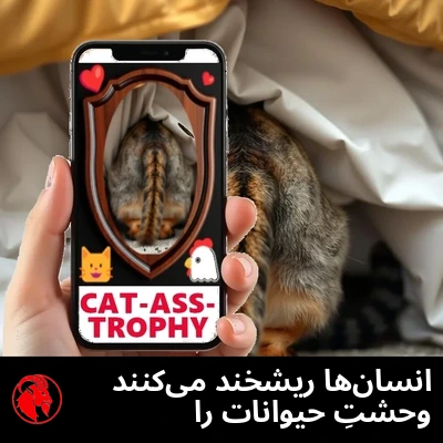 دستی انسانی گوشیِ موبایلی را گرفته که در Instagram، کفلِ گربه را به شکلِ پلاکی با عنوانِ CAT-ASS-TROPHY نصب‌شده نشان می‌دهد، در حالی که گربه‌ی واقعی زیرِ تخت پنهان شده است.
