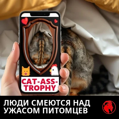 Человеческая рука держит телефон, на котором зад кошки красуется в виде таблички-трофея CAT-ASS-TROPHY в Instagram, пока настоящая кошка прячется под кроватью.