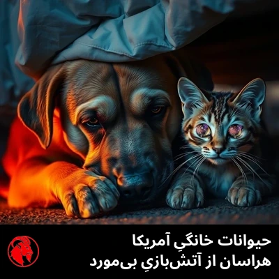 سگی غمگین با چشمانِ گودافتاده و گربه‌ای وحشت‌زده با چشمانِ گشاد، هنگام غروب زیرِ تخت کنارِ هم کِز کرده‌اند و از آتش‌بازیِ چهارمِ ژوئیه پنهان شده‌اند.