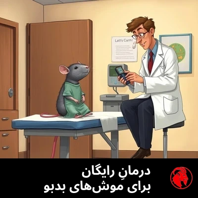 موشی کوچک با لباسِ بیمارستان، صاف روی تختِ معاینه نشسته و پزشکی انسانیِ تمام‌قد دارد معاینه‌اش می‌کند.