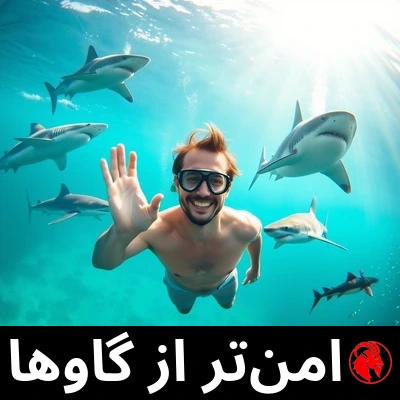 مردی خندان با مایو و ماسکِ اسنورکل با آرامش زیرِ آب شناور است و برای دوربین دست تکان می‌دهد، در حالی که پنج کوسه‌ی متمایز از گونه‌های مختلف دورش را گرفته‌اند. زیرنویس: امن‌تر از گاوها.