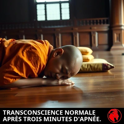 Un élève de méditation effondré face contre terre sur le sol du temple, son coussin abandonné à côté de lui. Légende : Trans-conscience normale après trois minutes d'apnée.