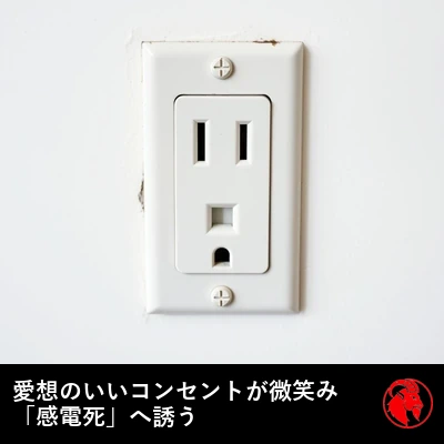 差し込み口とアース穴が、人なつこく微笑む顔のように見える、米国式の一口の壁コンセント。キャプション：人なつこいコンセントが微笑み、『稲妻の死（Lightning Death）』へと誘う。